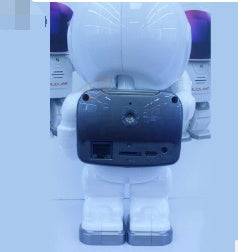 Astronaut Robot Camera - Wireless IP Security with Night Vision